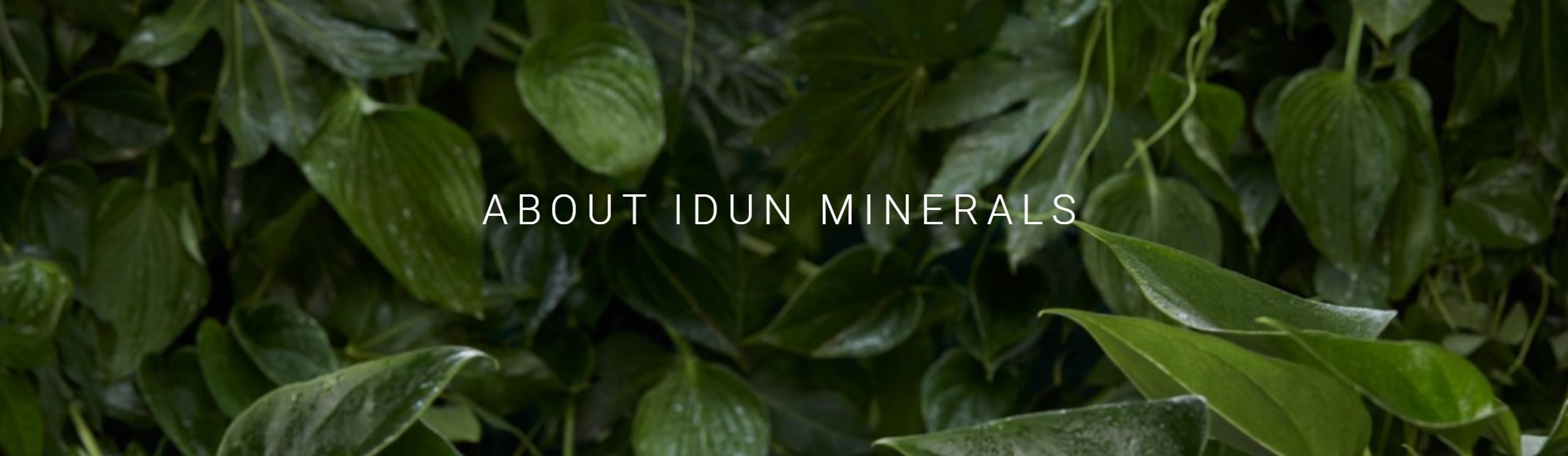 O značce Idun Minerals